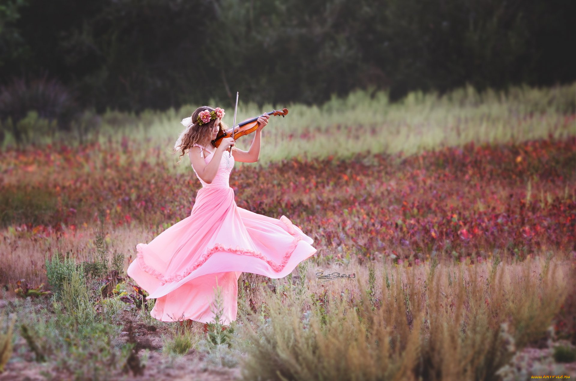 музыка, -другое, природа, венок, скрипка, девушка