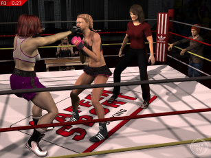 Картинка 3д+графика спорт+ sport бокс фон ринг взгляд девушки