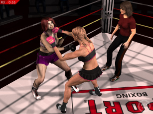 Картинка 3д+графика спорт+ sport девушки ринг фон взгляд бокс
