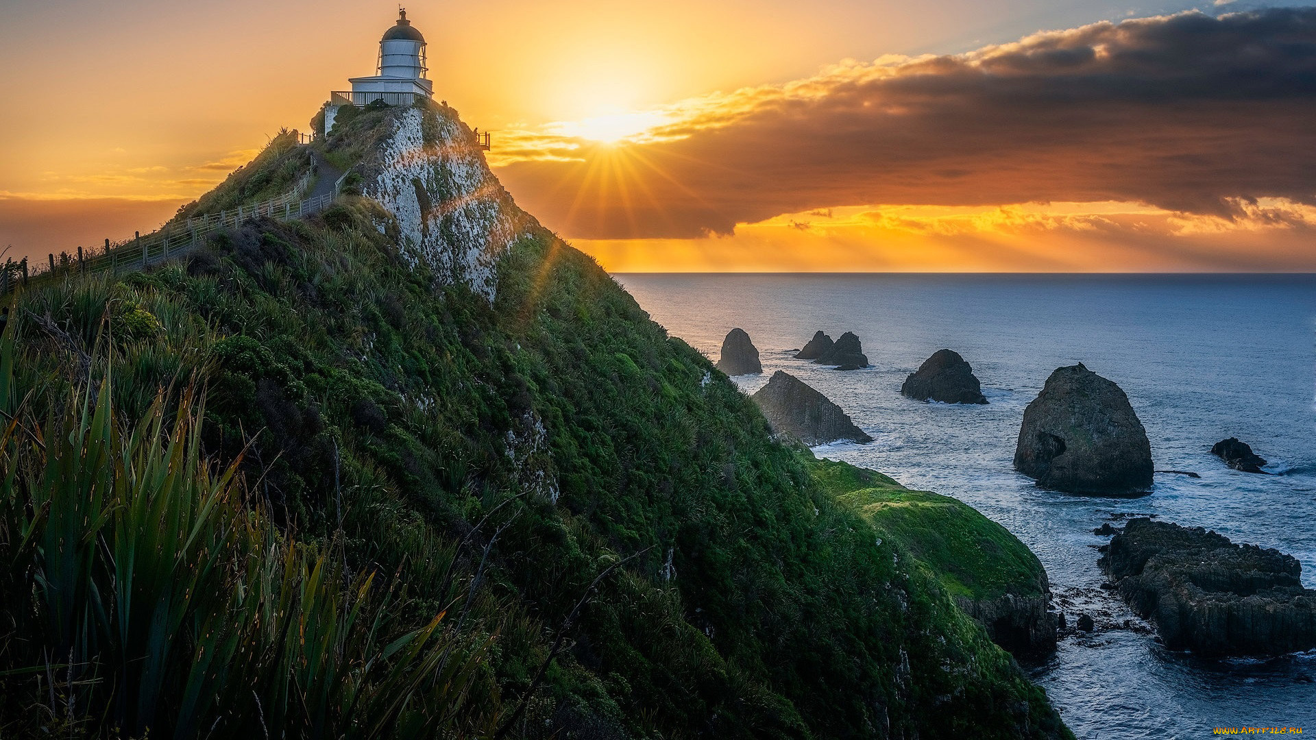 nugget, point, lighthouse, new, zealand, природа, маяки, nugget, point, lighthouse, new, zealand