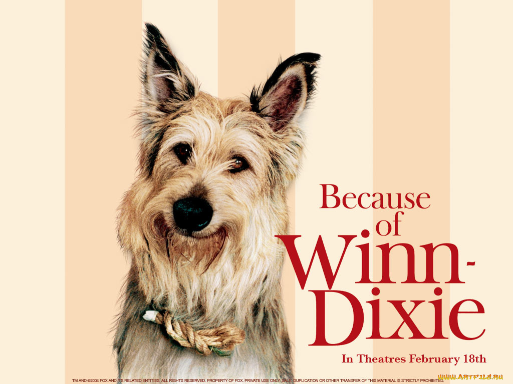 because, of, winn, dixie, кино, фильмы