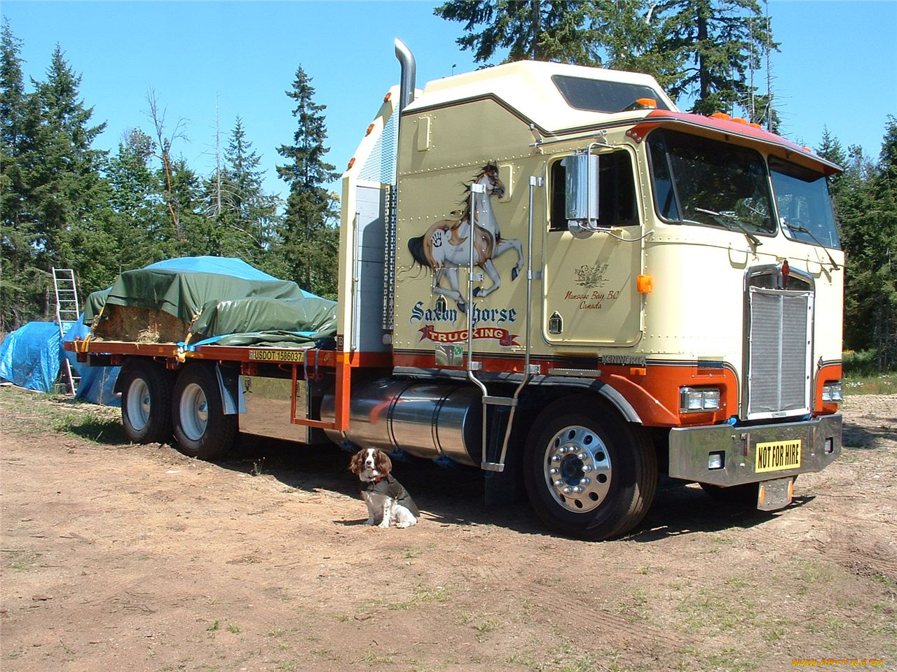 автомобили, kenworth