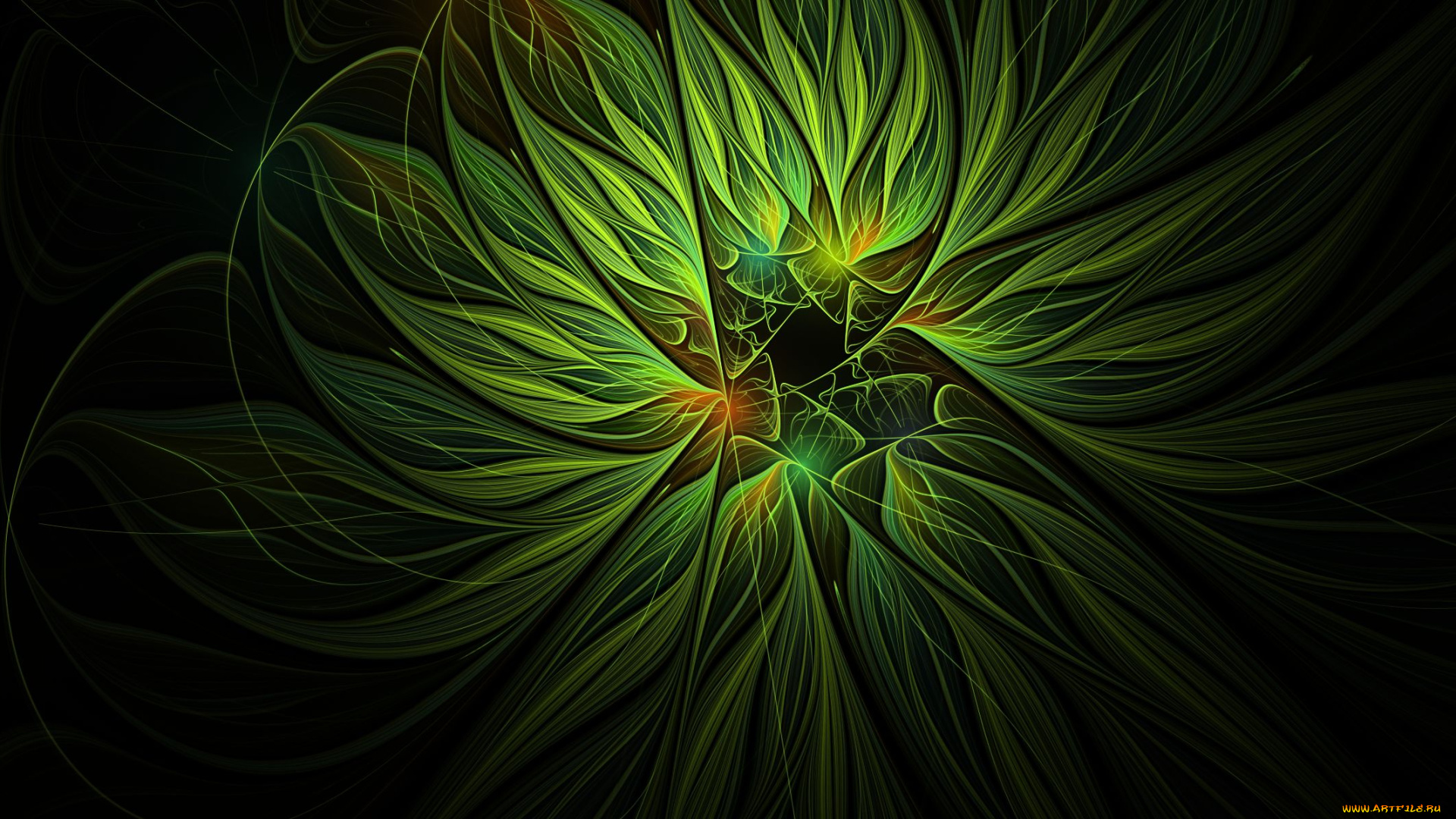 3д, графика, fractal, фракталы, фон, узор, цвета