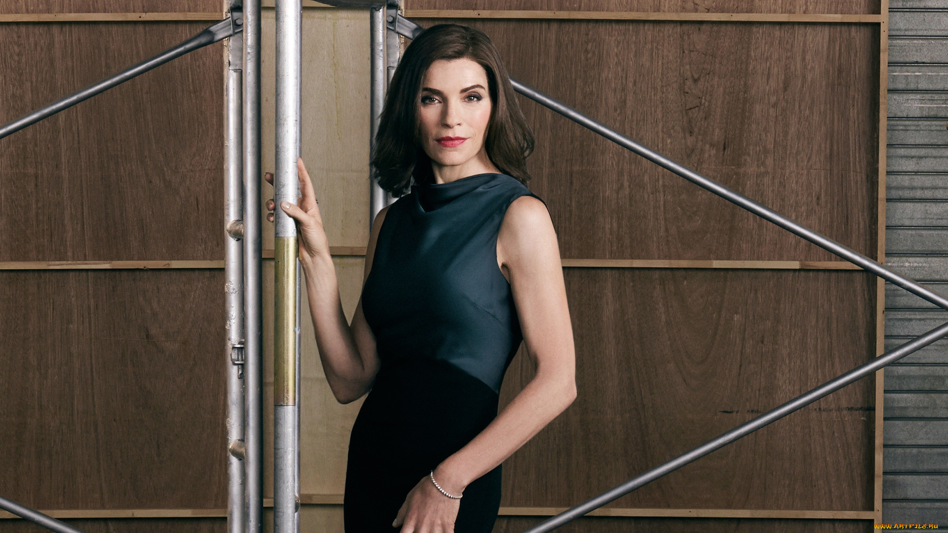 кино, фильмы, the, good, wife, julianna, margulies, alicia, florrick