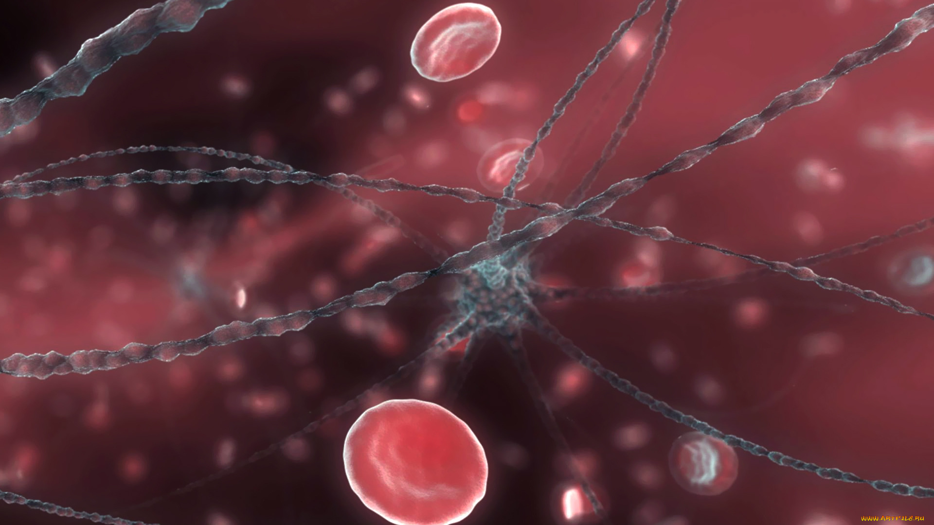 neuron, and, red, blood, cells, 3д, графика, abstract, абстракции, микромир, клетки, кровь, нейрон