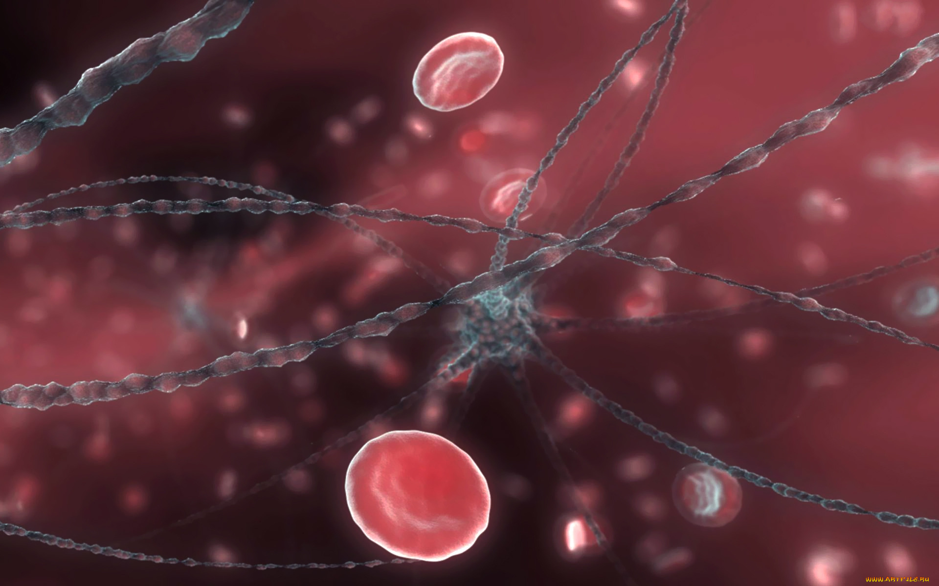 neuron, and, red, blood, cells, 3д, графика, abstract, абстракции, микромир, клетки, кровь, нейрон