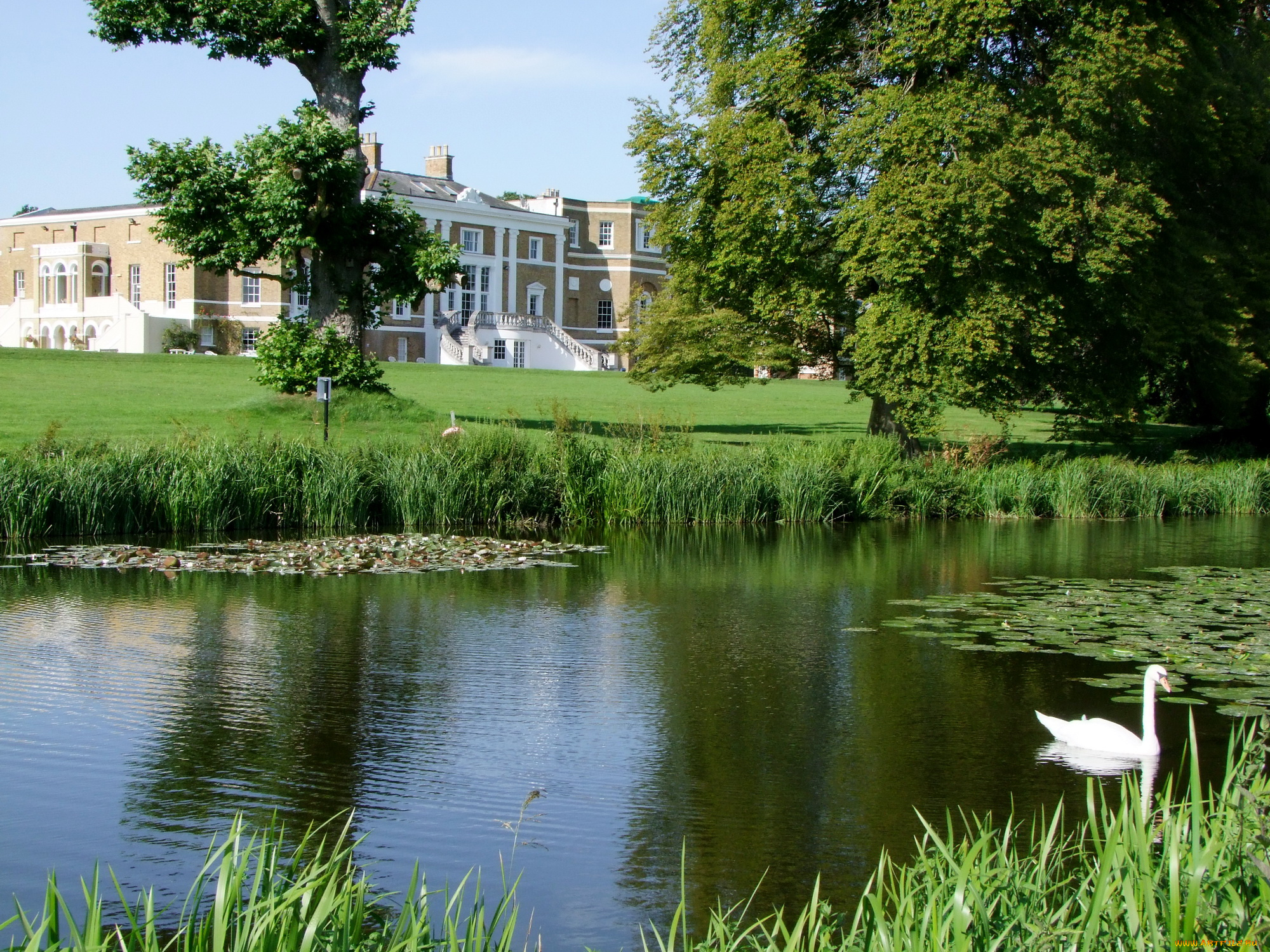 river, wey, англия, природа, реки, озера, река, аббатство