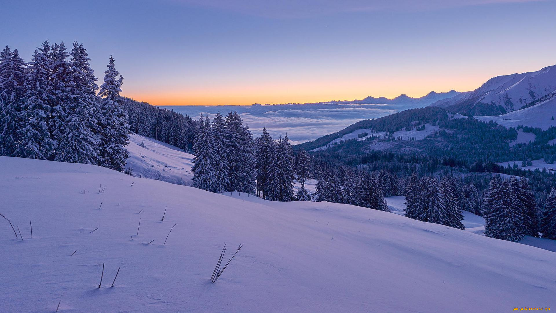 природа, зима, швейцария, деревья, горы, закат