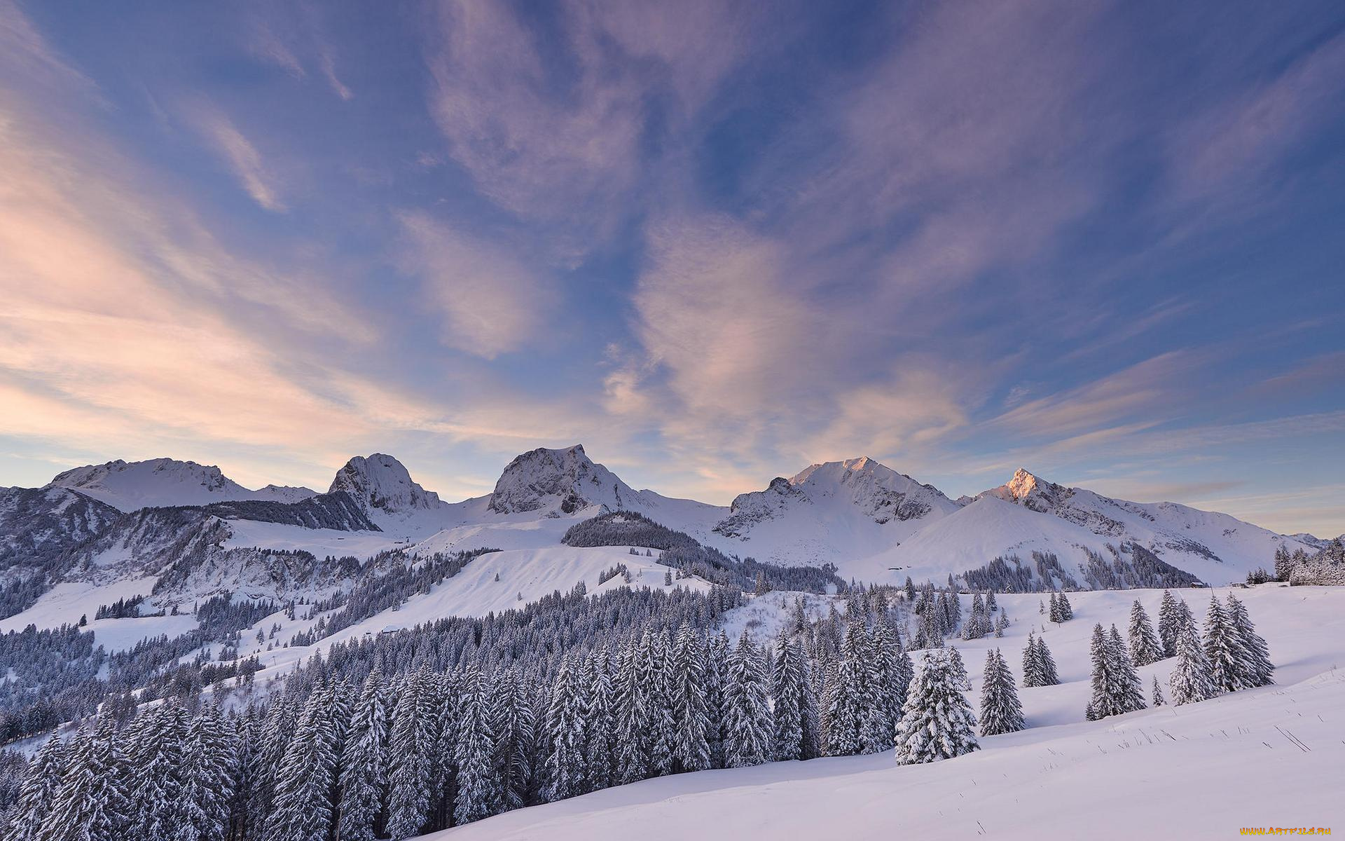 природа, горы, деревья, закат, зима, швейцария