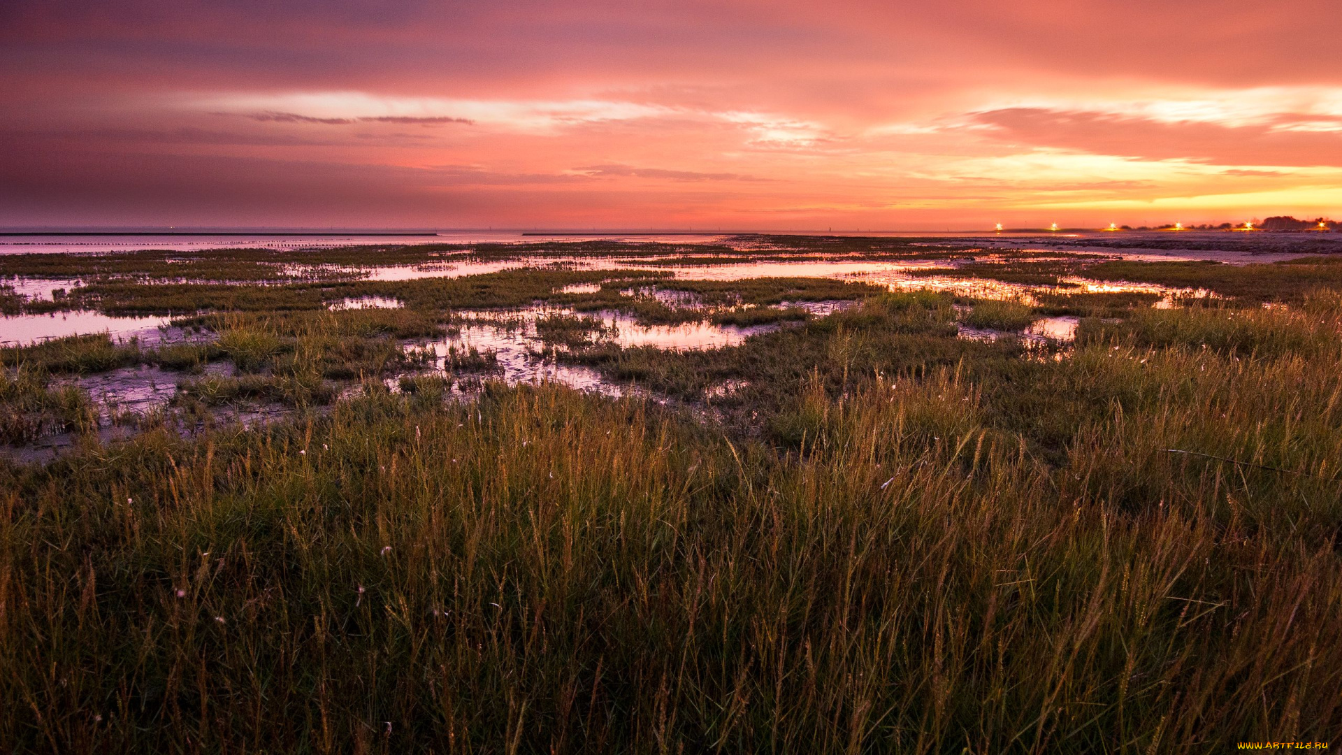 north, sea, природа, побережье