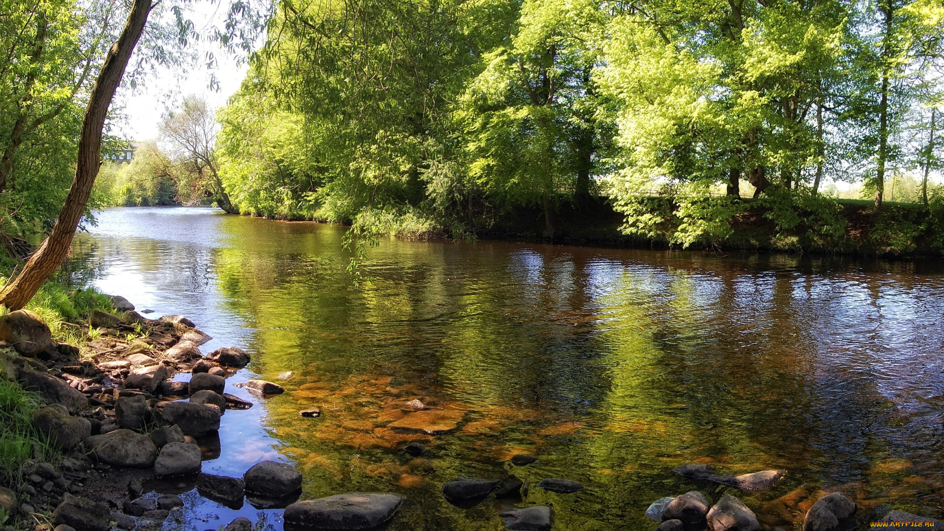 природа, реки, озера, вода, деревья