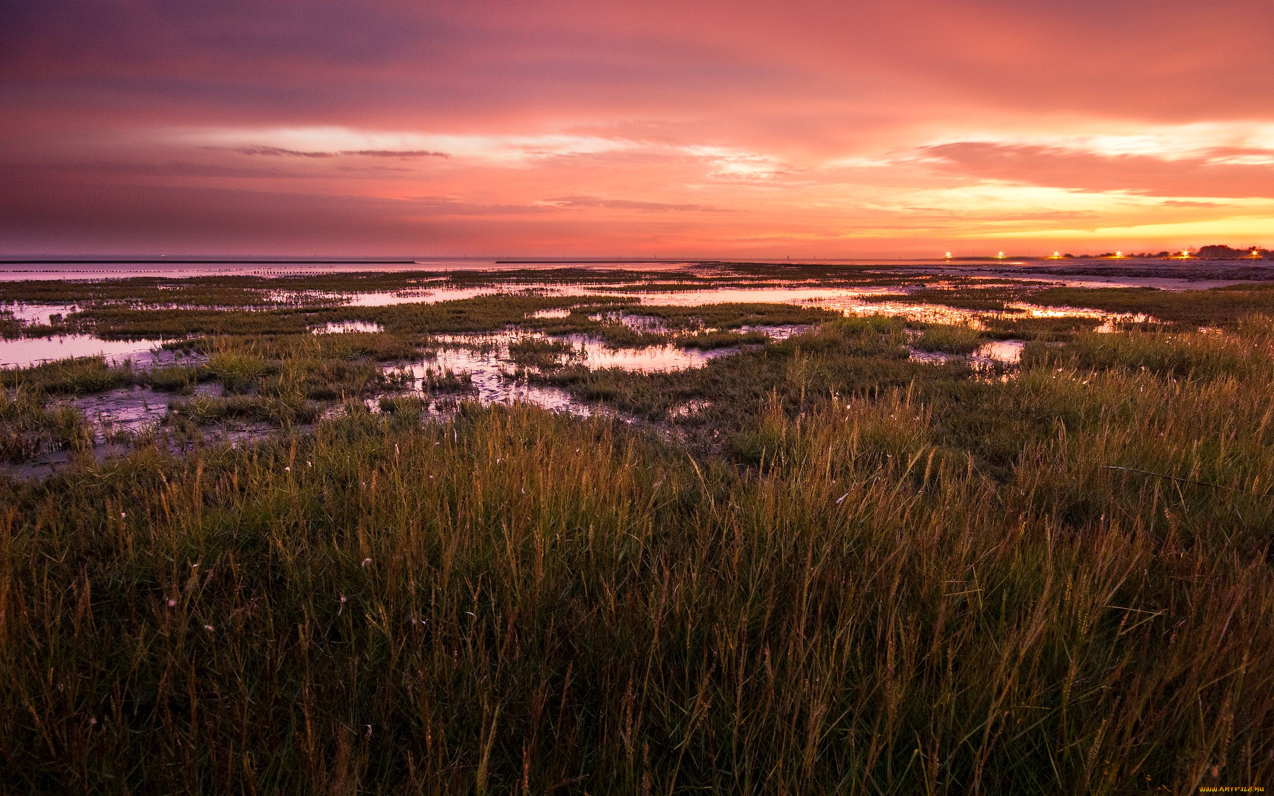 north, sea, природа, побережье