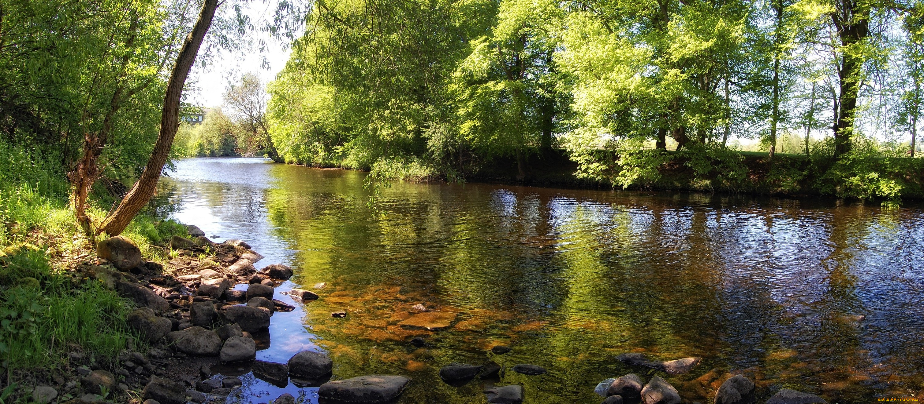 природа, реки, озера, вода, деревья