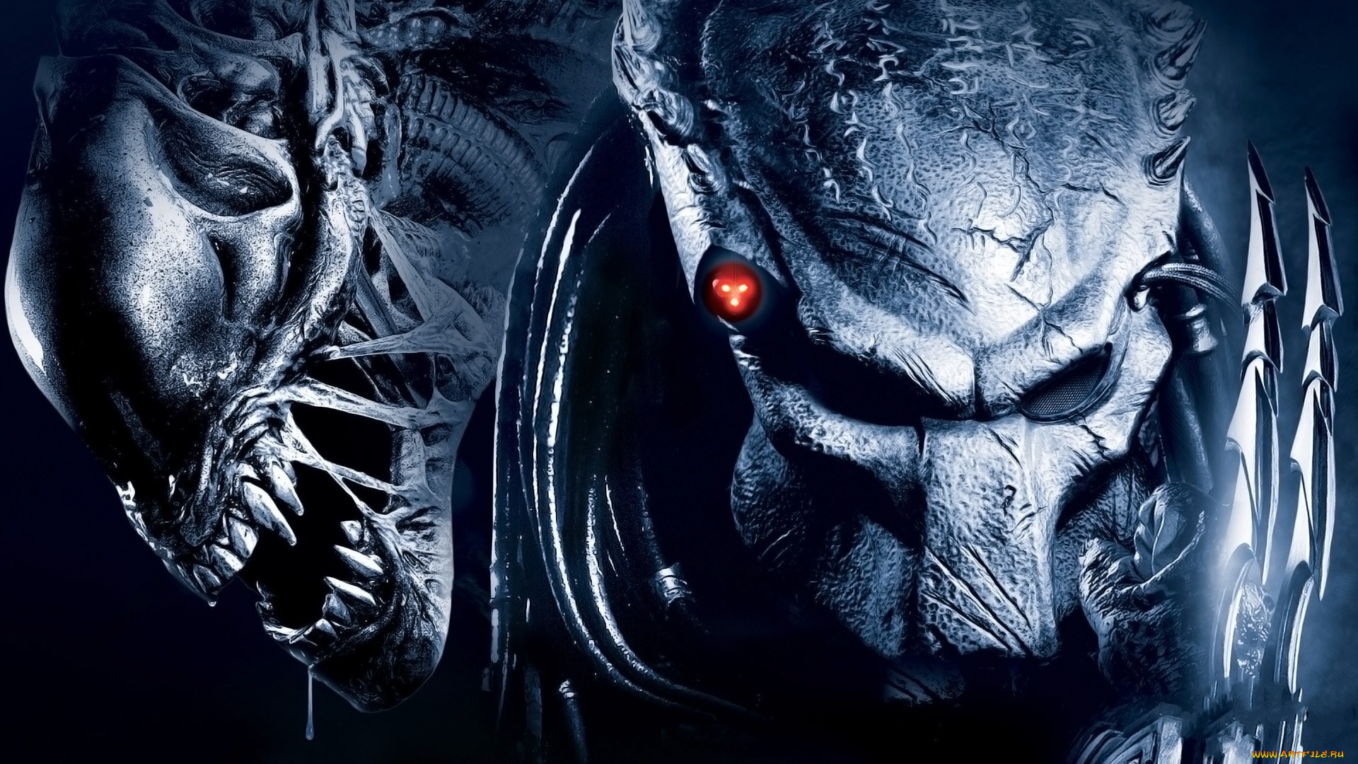 alien, vs, predator, кино, фильмы, Чужой, против, хищника