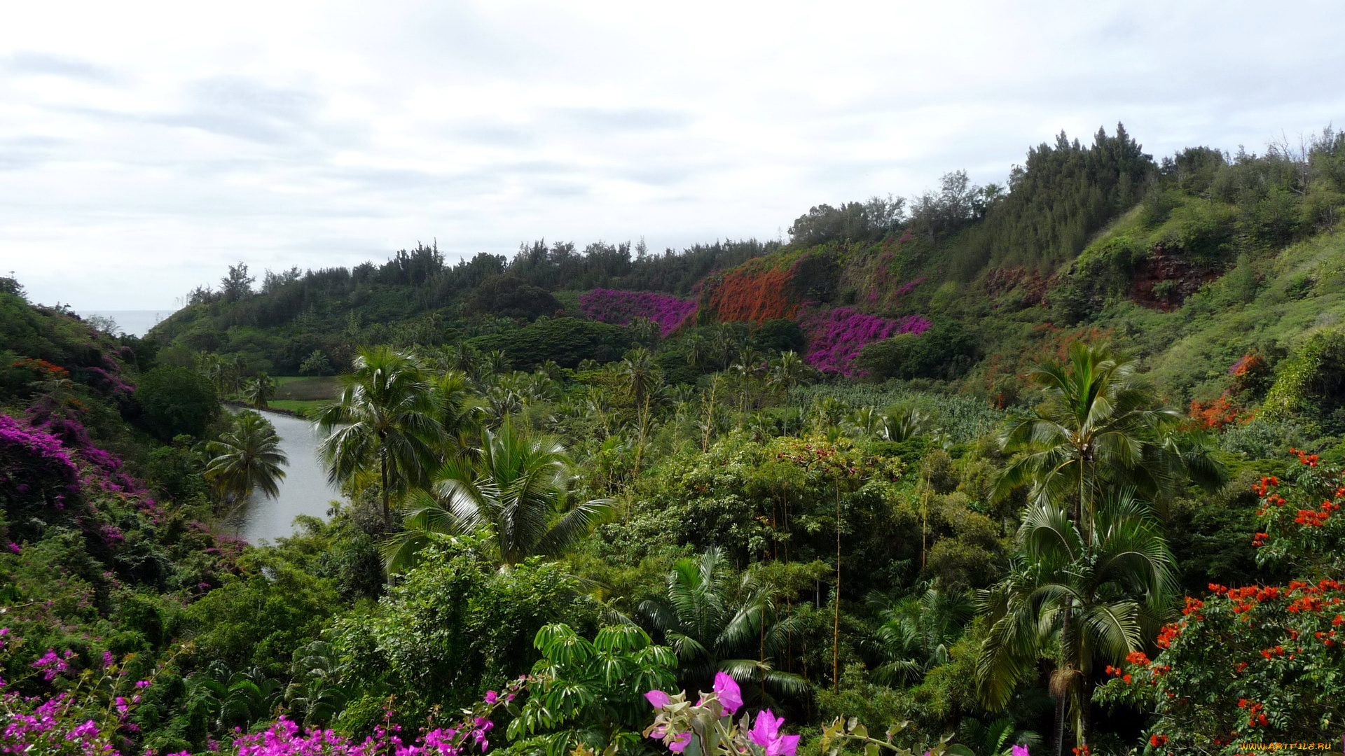 botanical, gardens, hawaii, природа, пейзажи