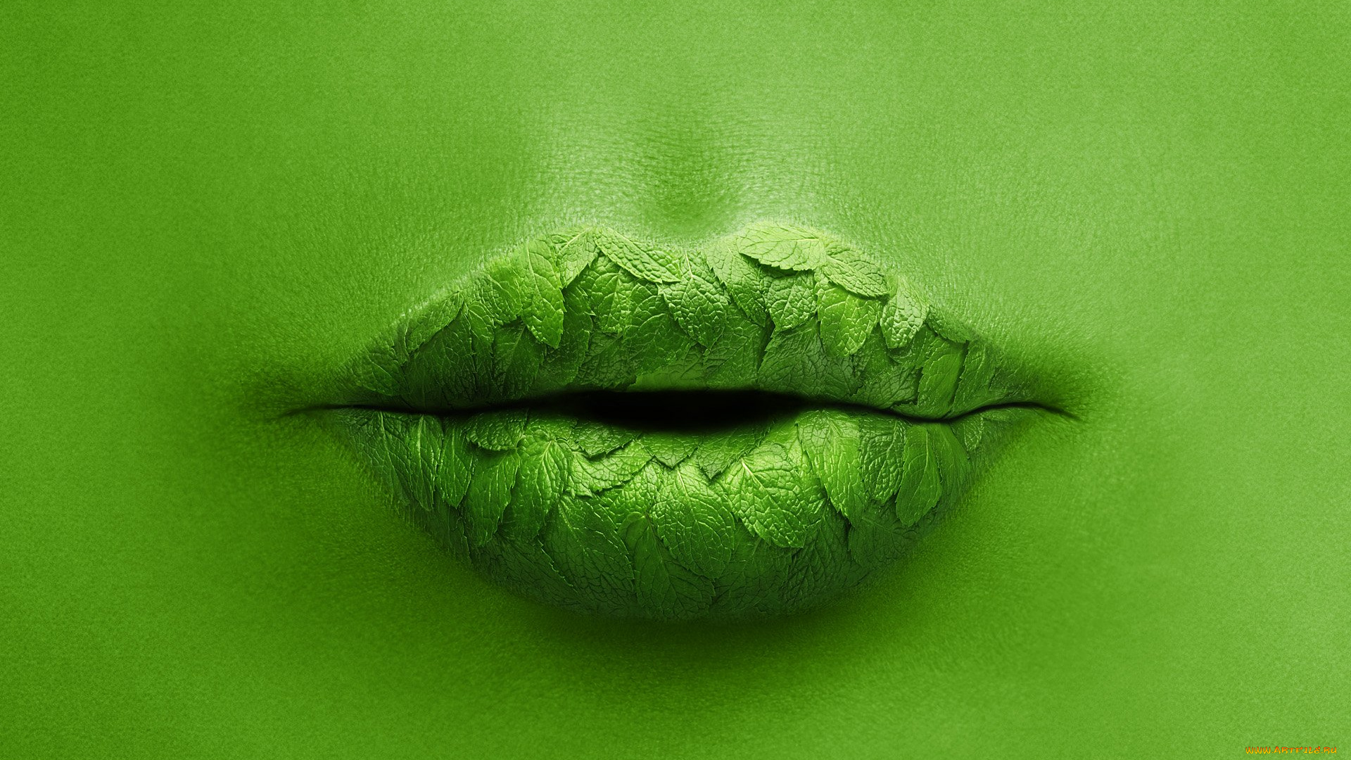 разное, губы, листики, мята, зеленый