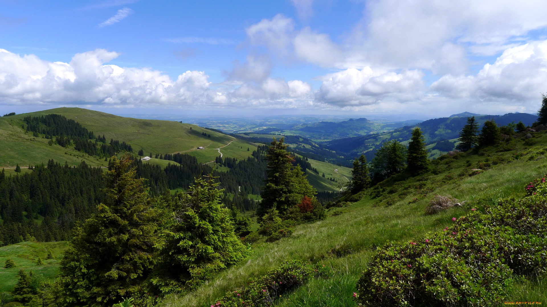 switzerland, природа, горы