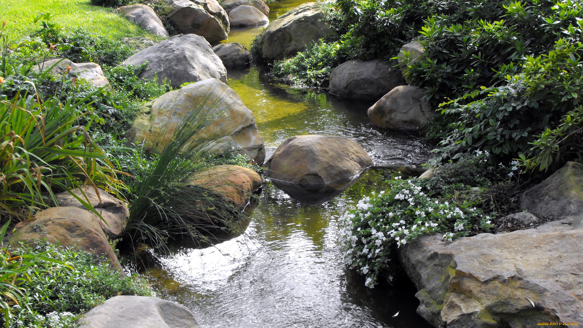 water, gardens, santa, barbara, природа, парк, сад, вода