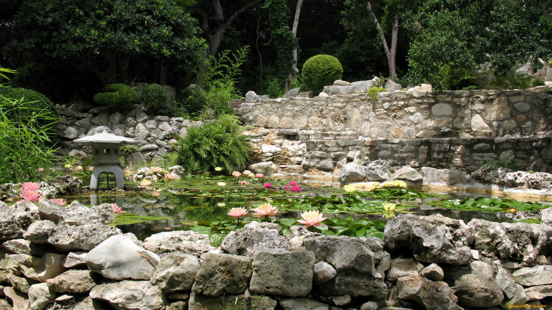 zilker, botanical, garden, сша, texas, природа, парк, сад