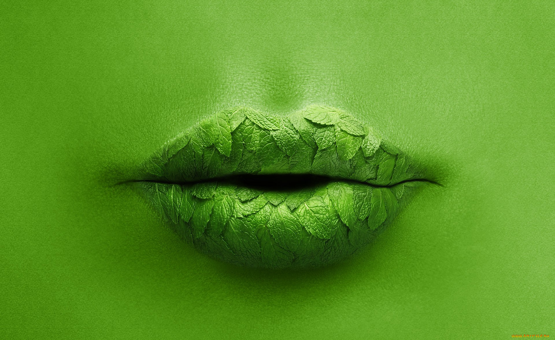 разное, губы, листики, мята, зеленый