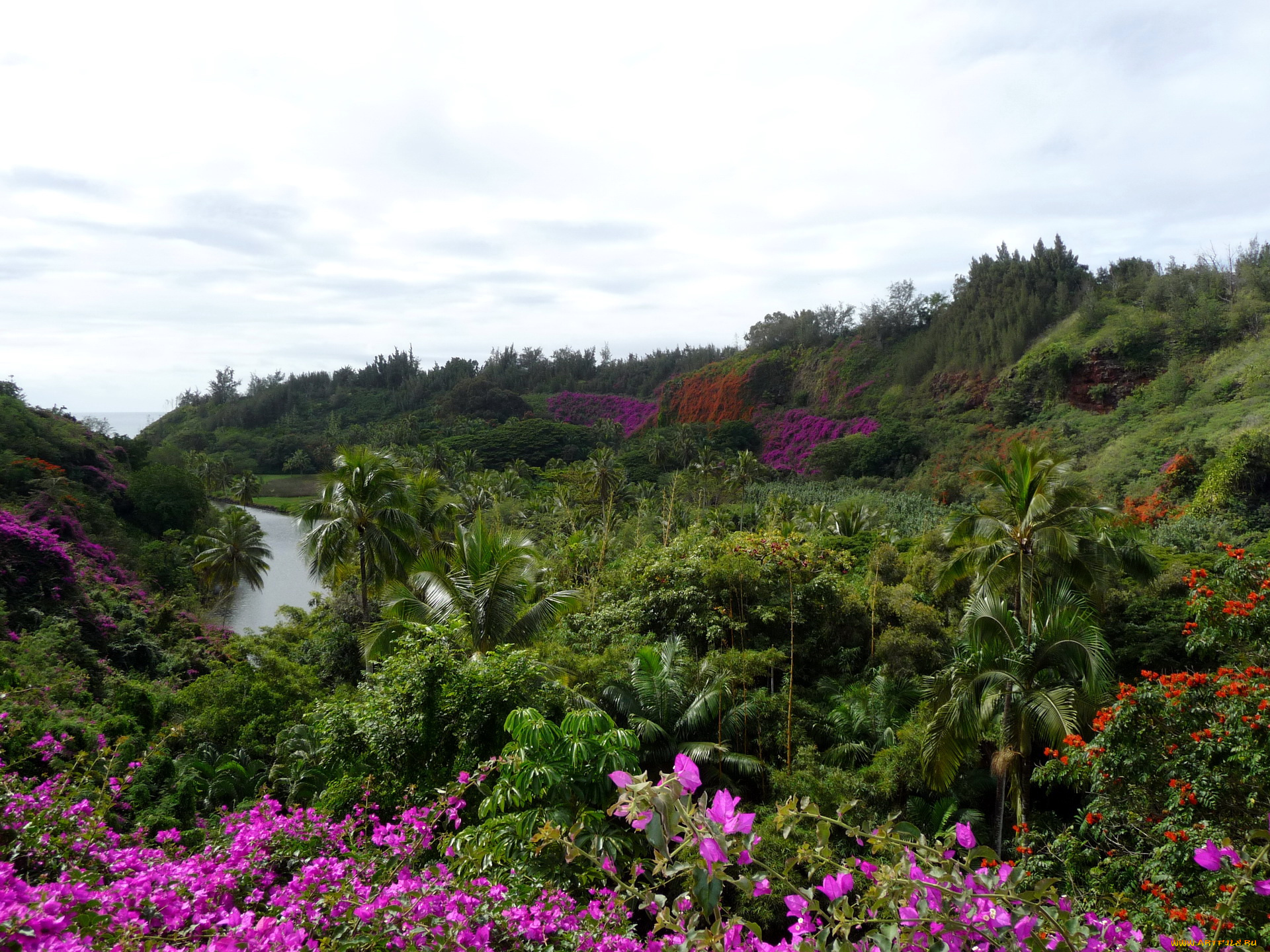 botanical, gardens, hawaii, природа, пейзажи