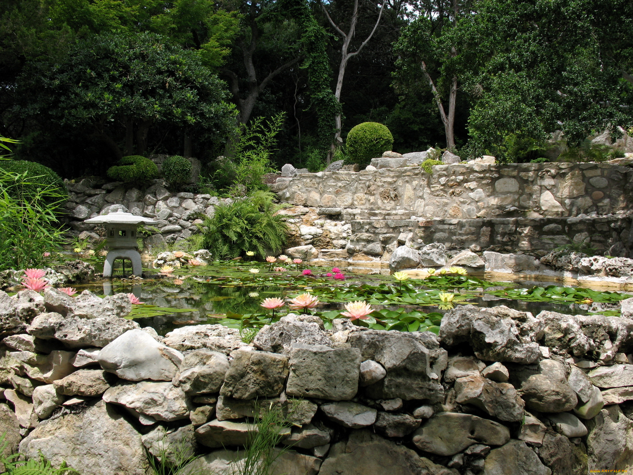 zilker, botanical, garden, сша, texas, природа, парк, сад