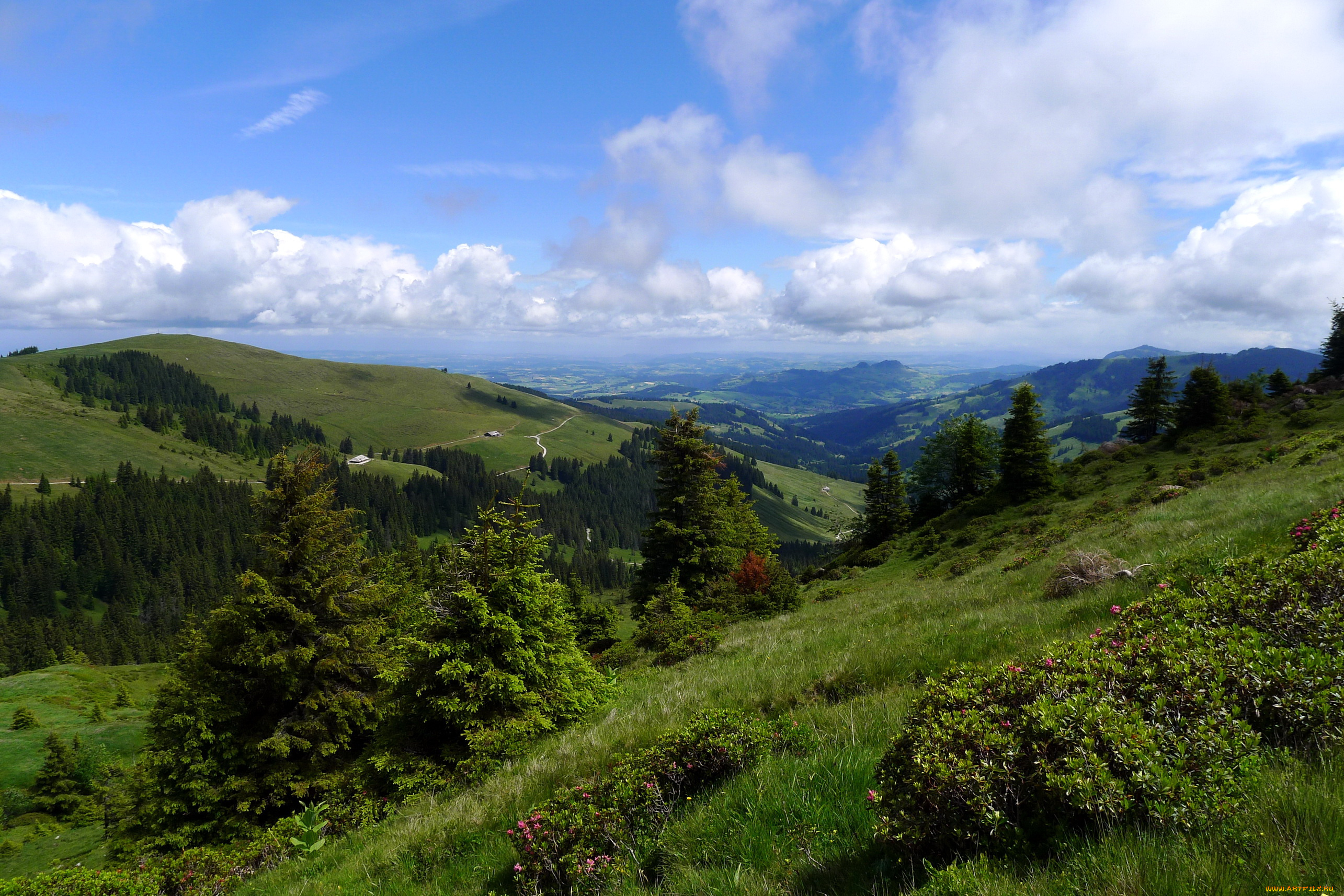 switzerland, природа, горы