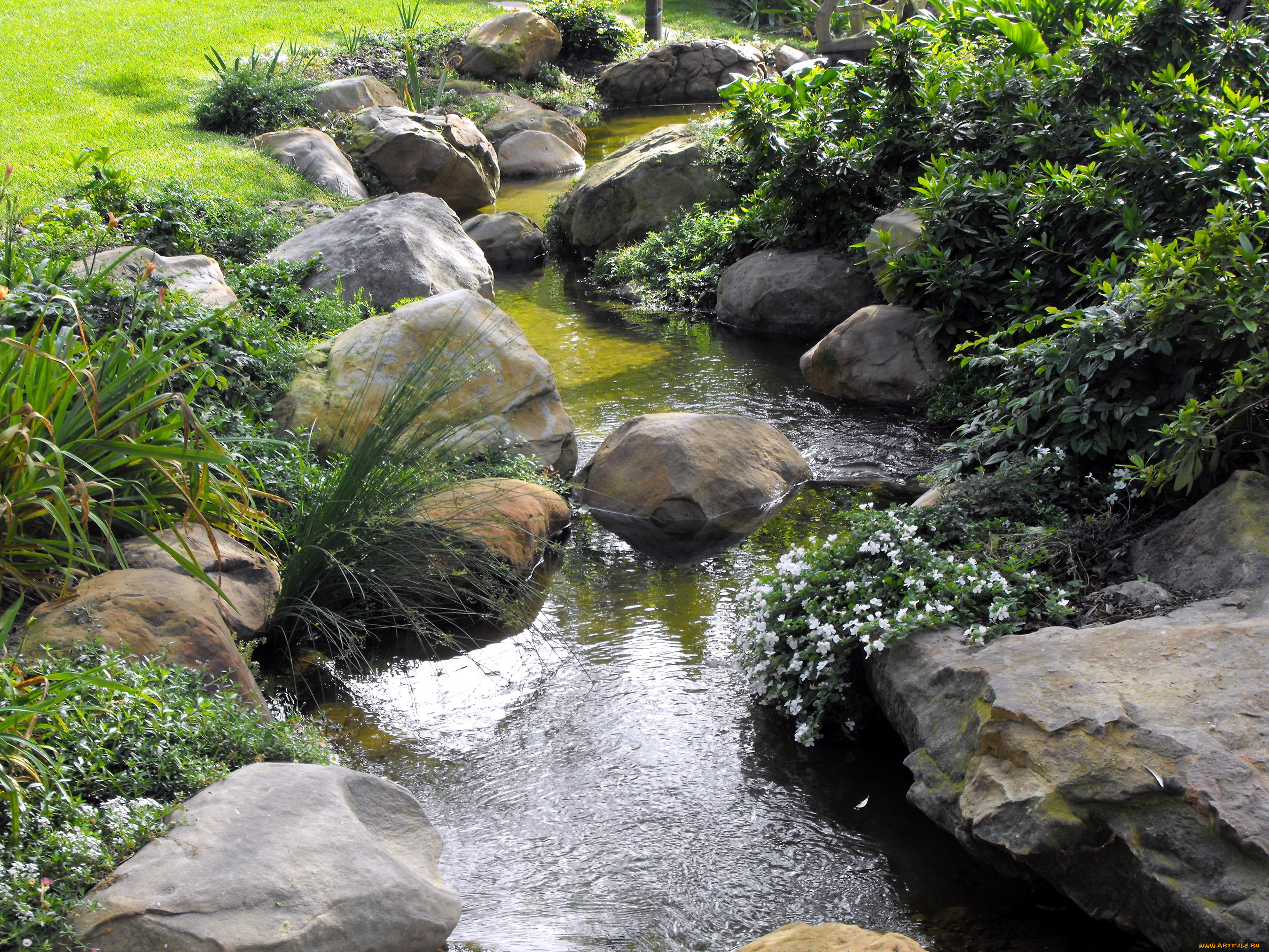 water, gardens, santa, barbara, природа, парк, сад, вода