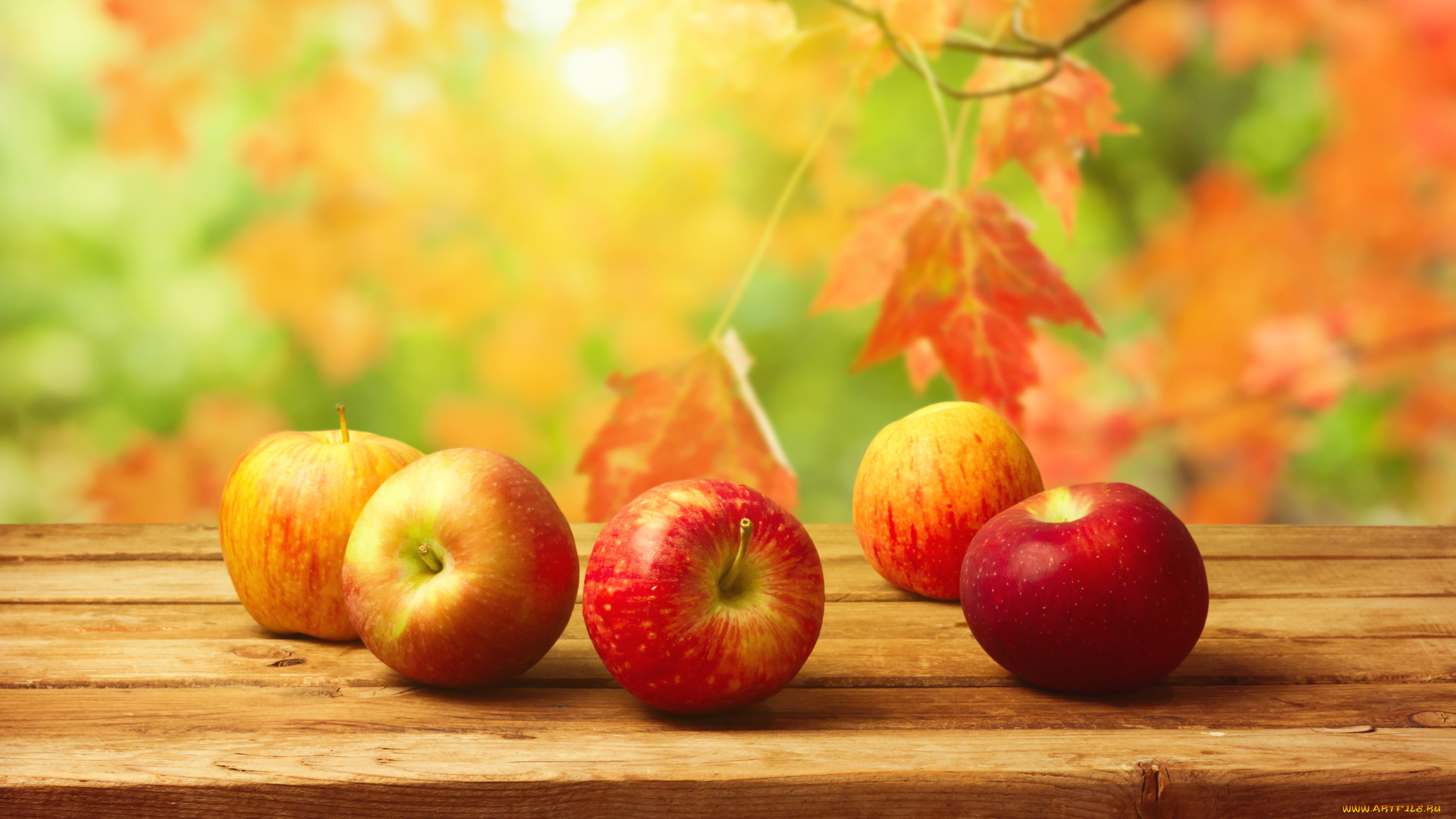 еда, Яблоки, листья, осень, урожай, стол, фрукты, фон