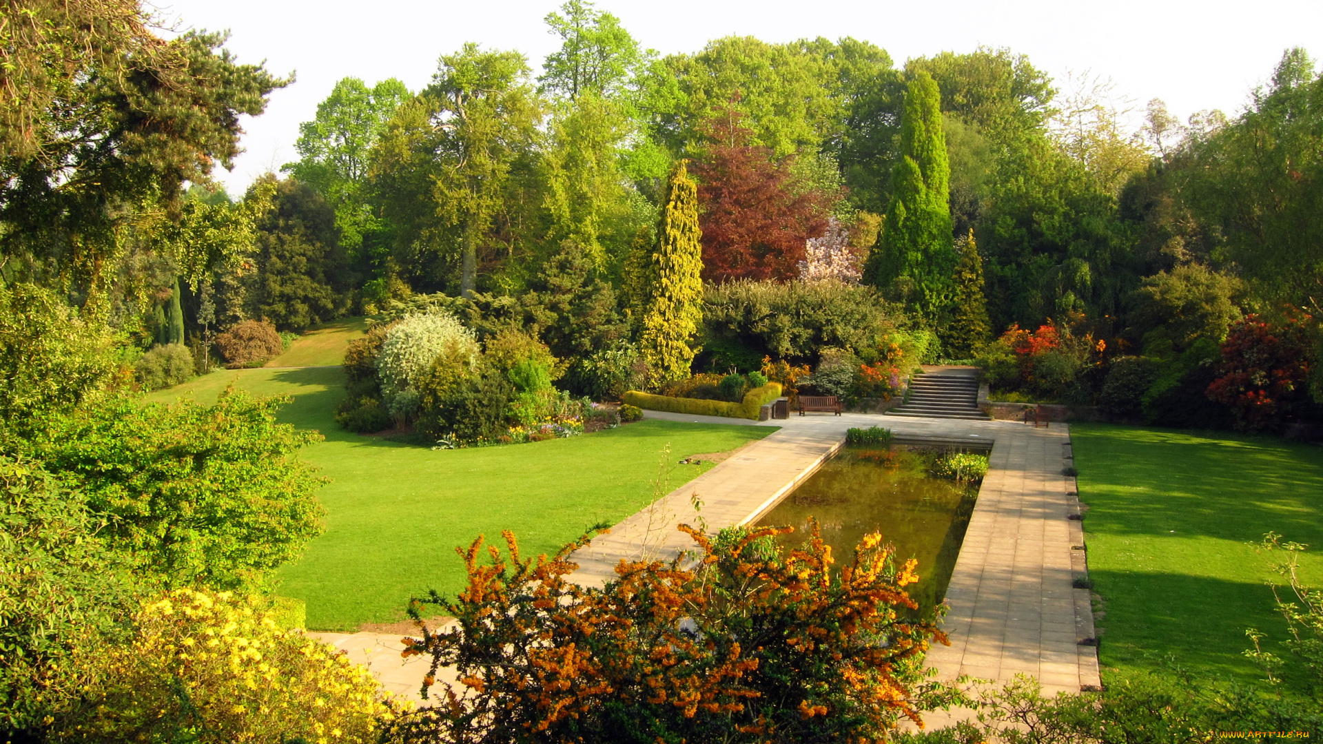 hill, garden, london, природа, парк, цветы, трава