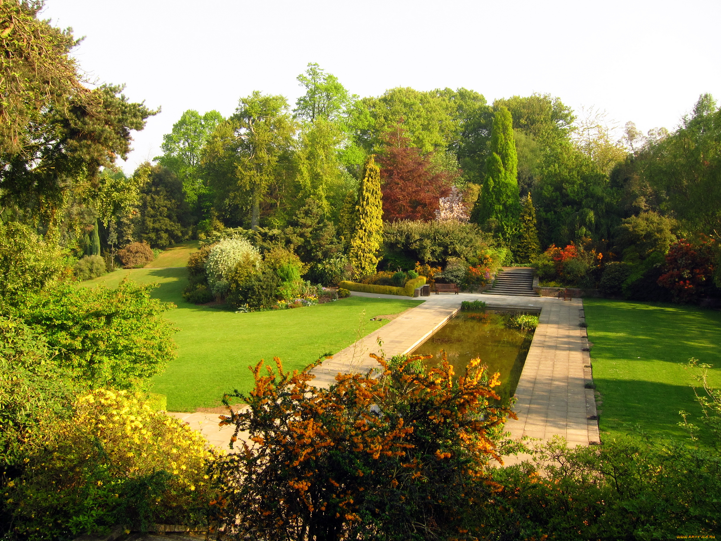 hill, garden, london, природа, парк, цветы, трава