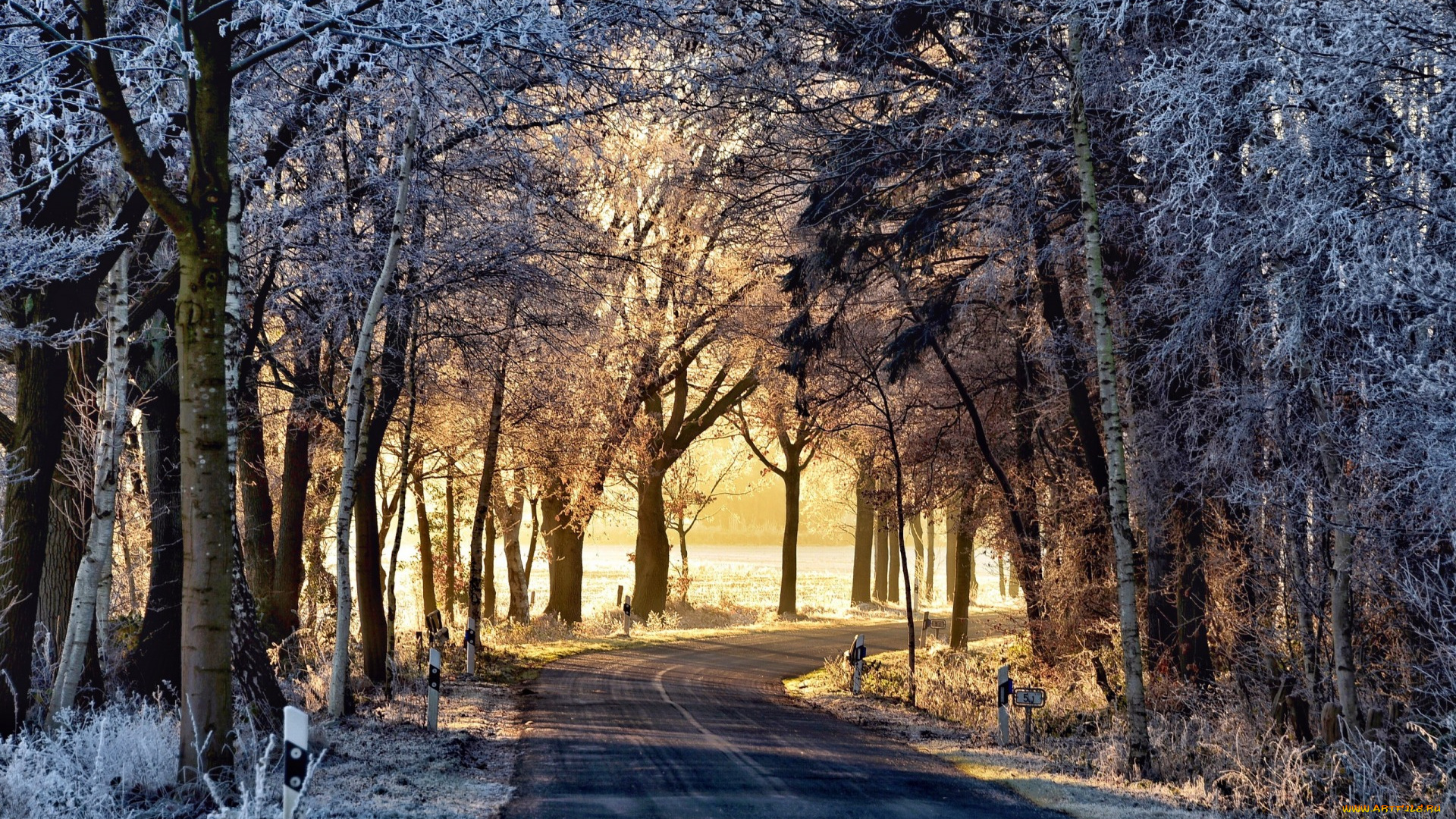 природа, дороги, утро, дорога, зима