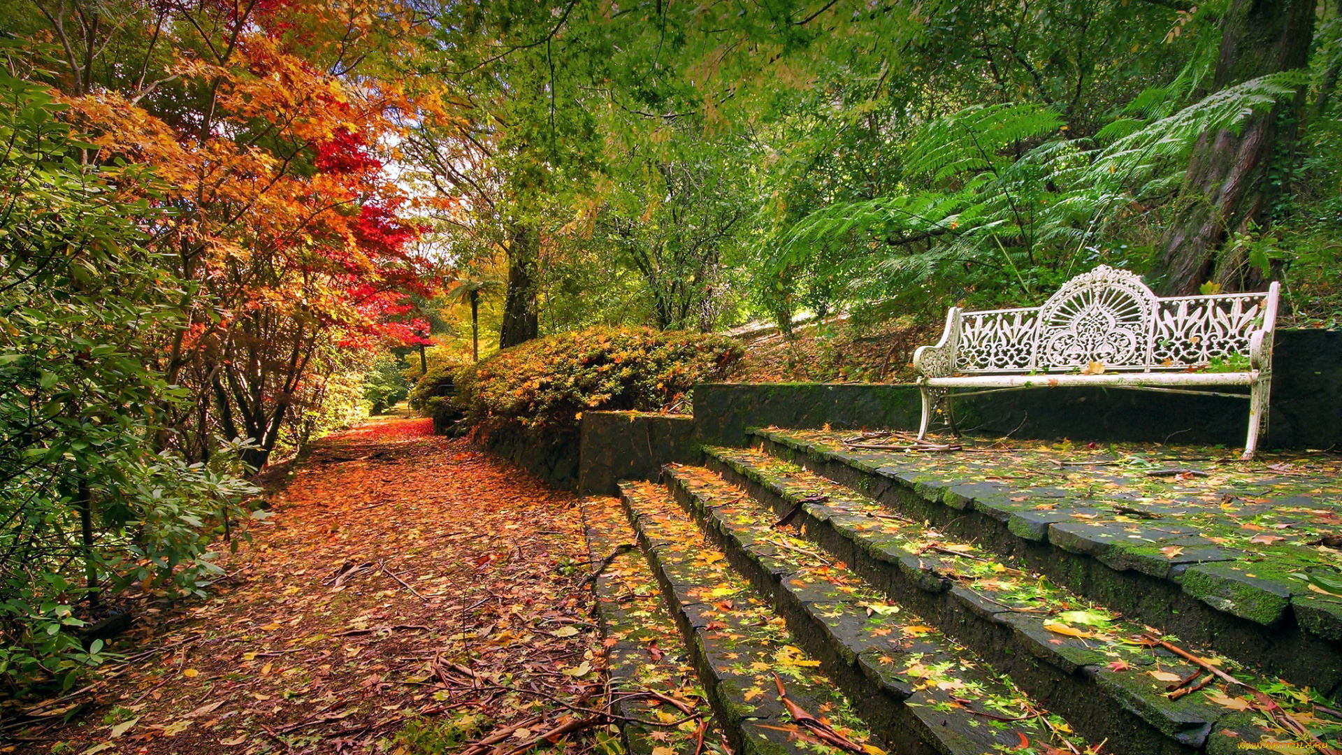 природа, парк, ступени, листопад, осень, скамейка