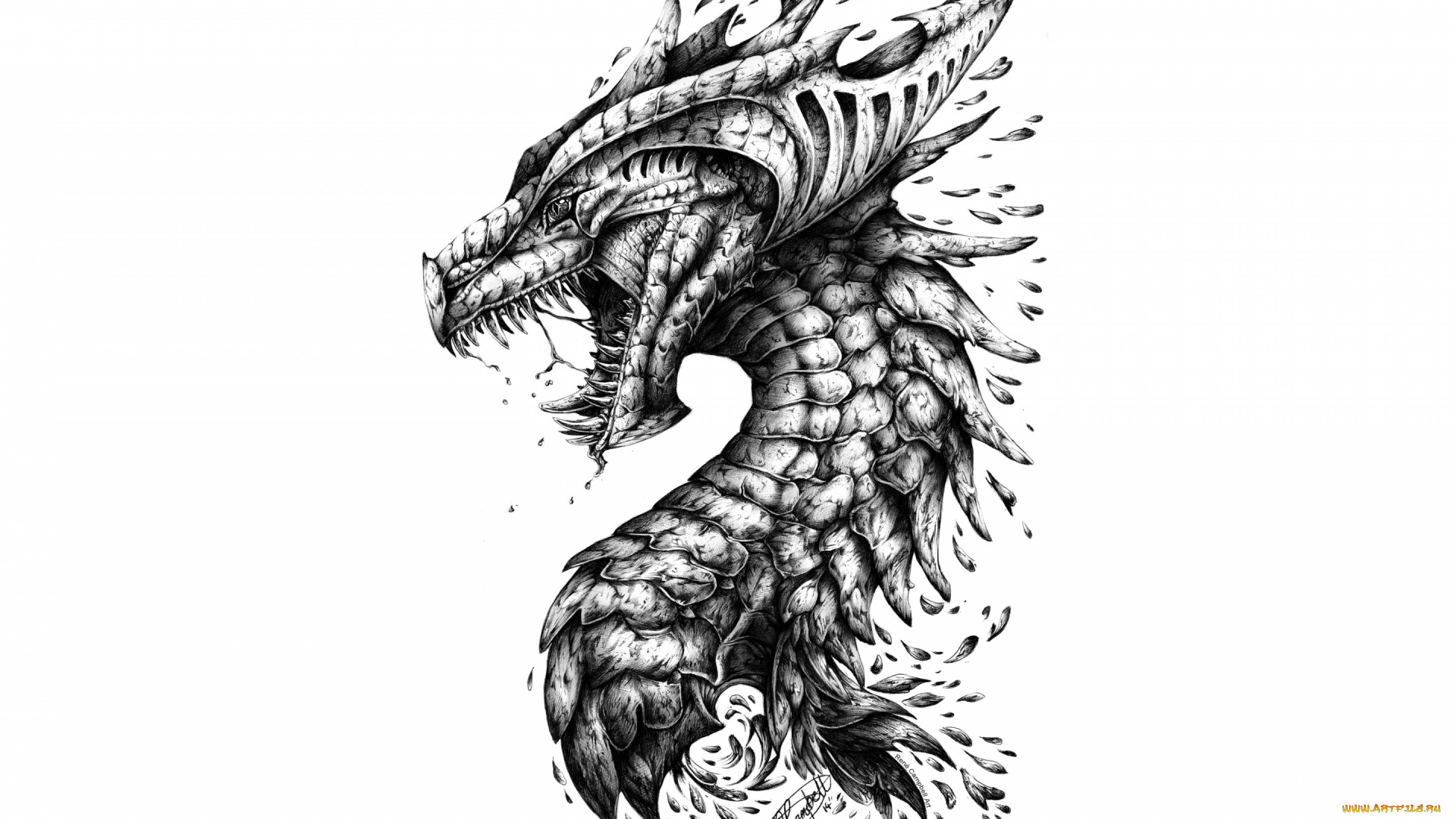 рисованное, минимализм, dragon, teeth, head, scales