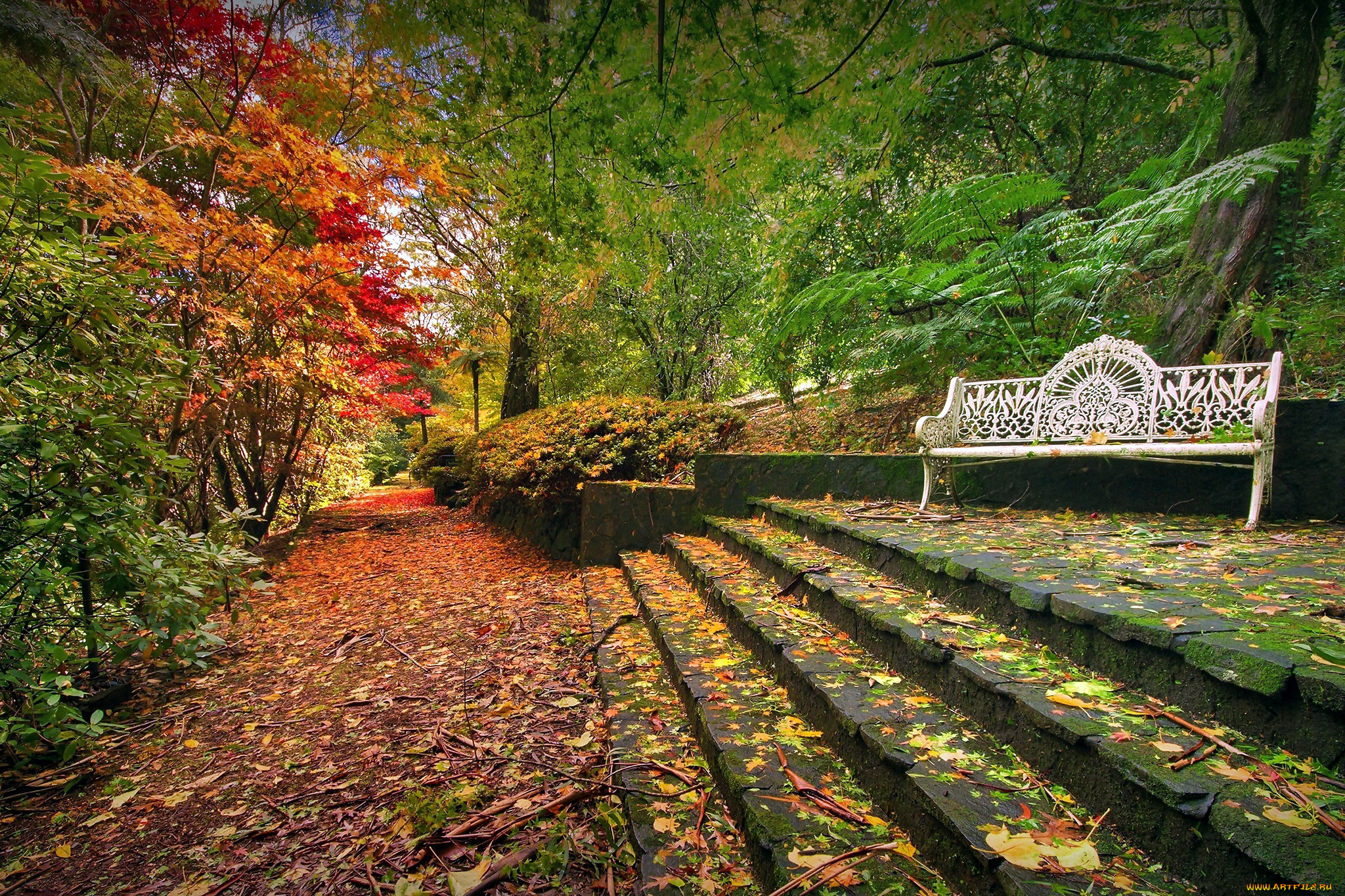 природа, парк, ступени, листопад, осень, скамейка