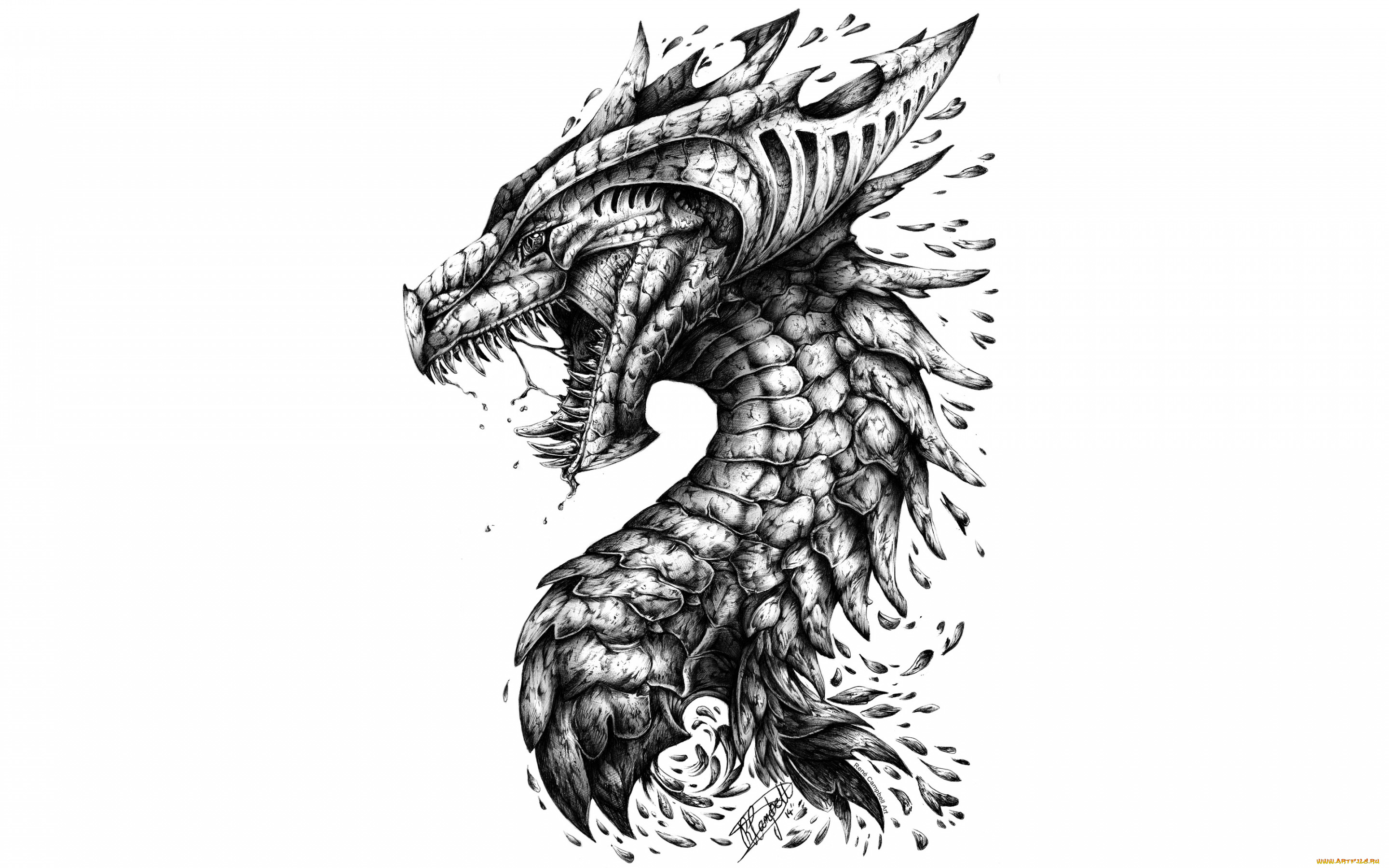 рисованное, минимализм, dragon, teeth, head, scales