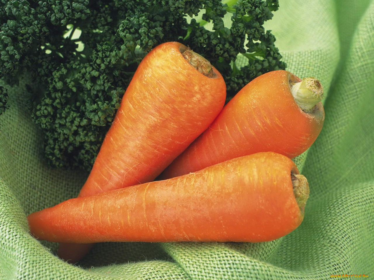 еда, морковь