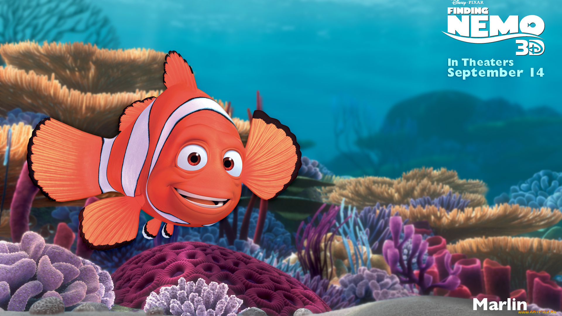 finding, nemo, мультфильмы, в, поисках, немо