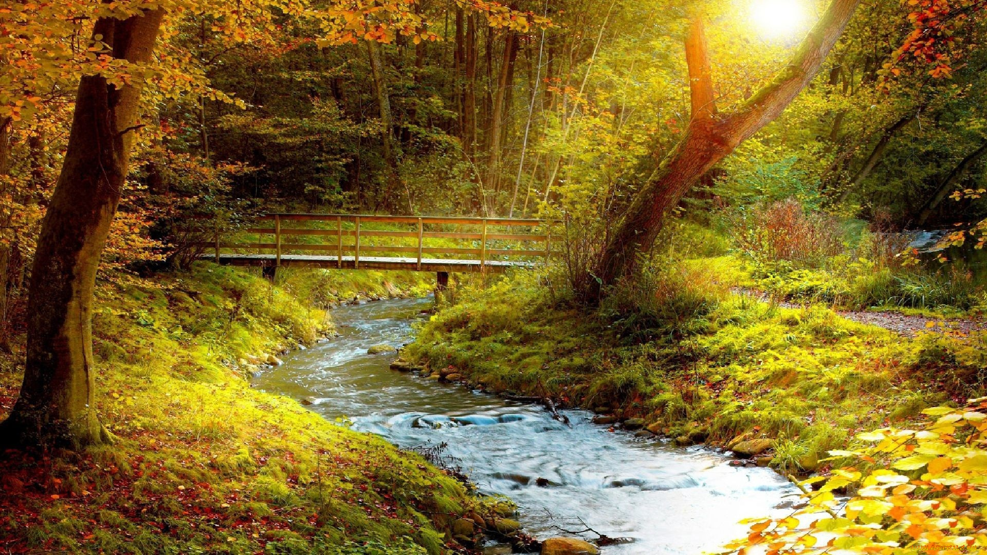 природа, реки, озера, осень, речка, лес, мостик