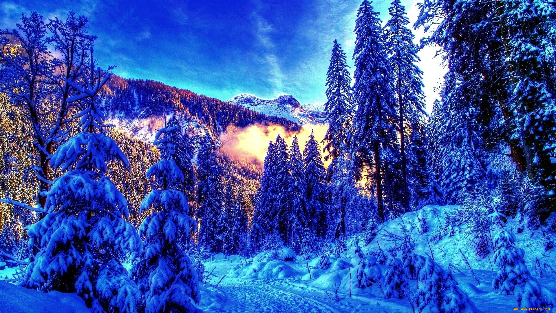 winter, природа, зима, горы, хвойный, лес, утро, свет, дымка, снег, тропинка