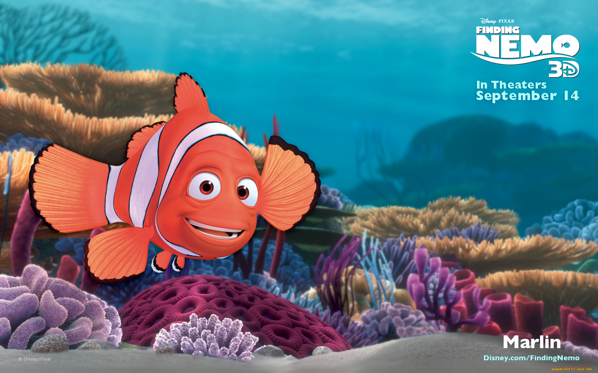 finding, nemo, мультфильмы, в, поисках, немо