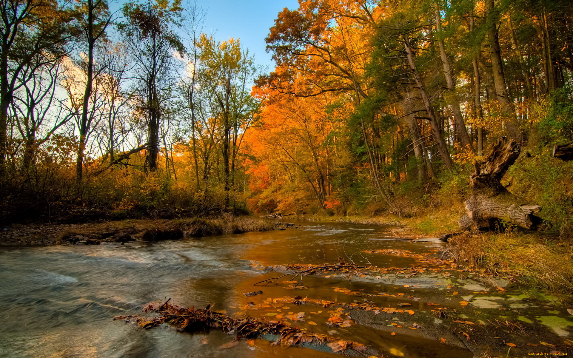 река лес осень скачать