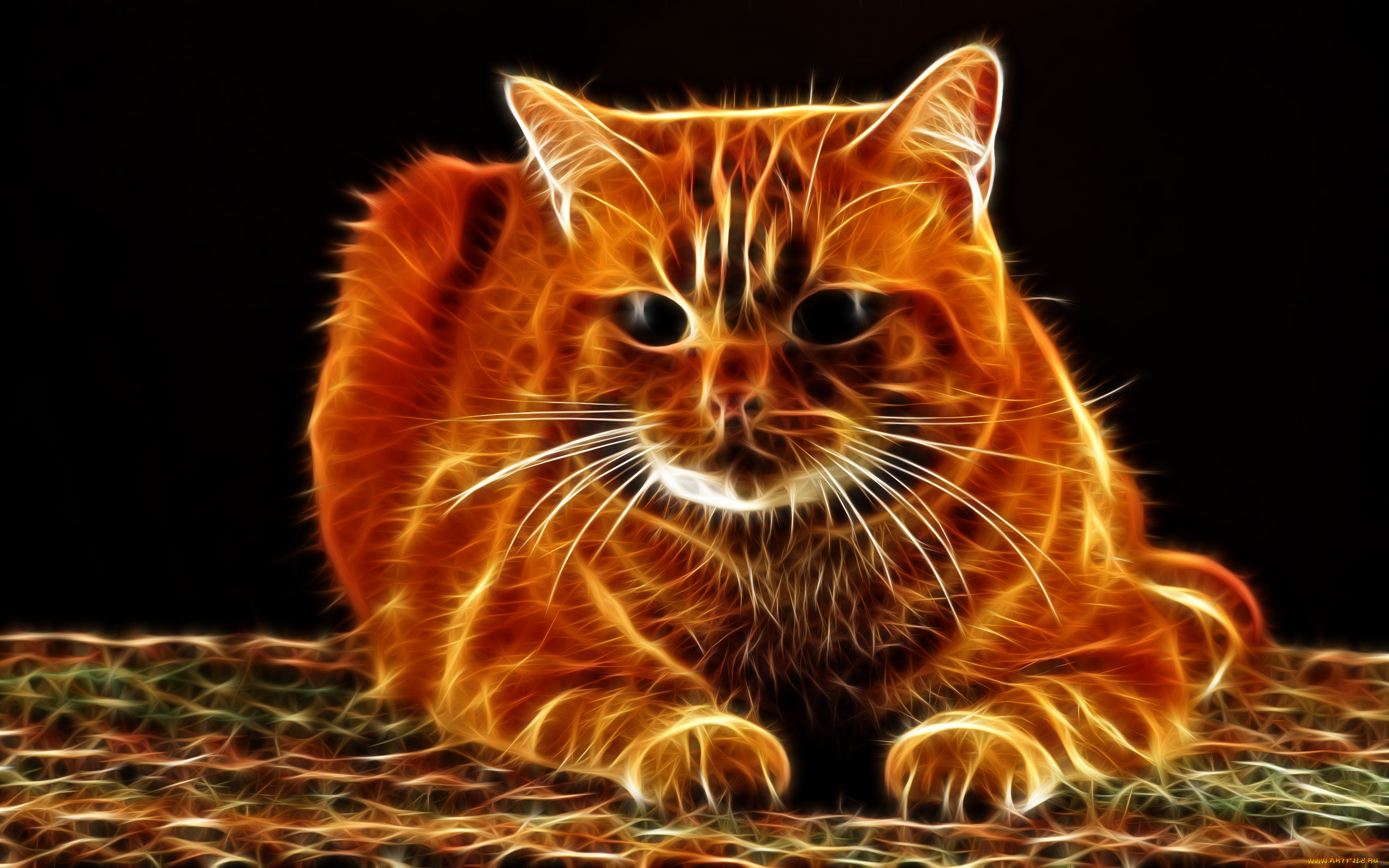 животные кот графика animals cat graphics бесплатно
