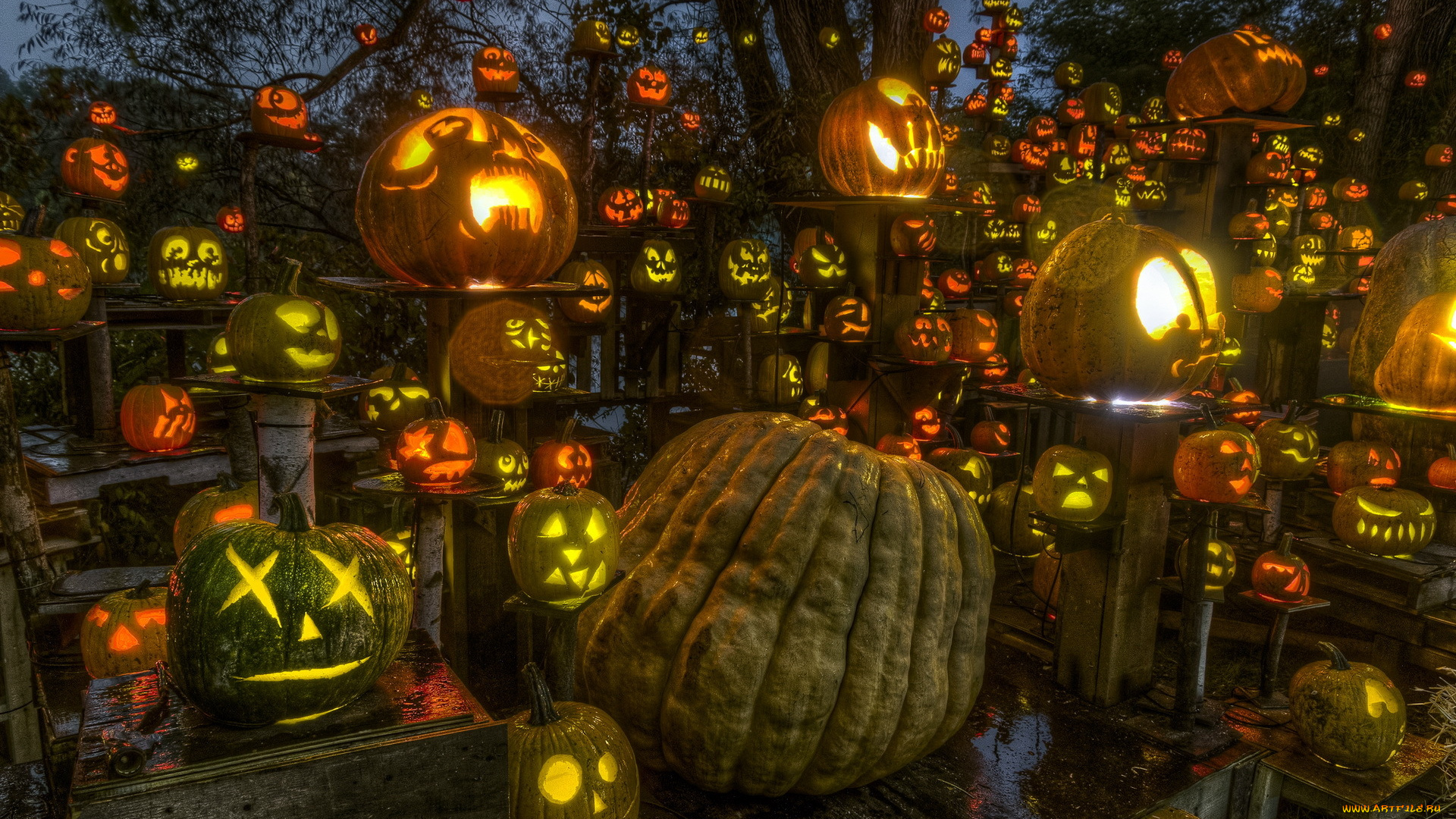 праздничные, хэллоуин, тыквы, passion, for, pumpkins, halloween, roger, williams, park