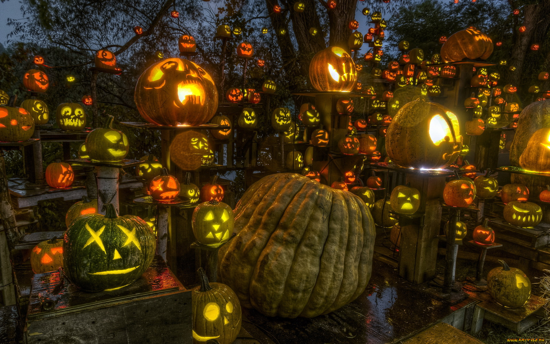 праздничные, хэллоуин, тыквы, passion, for, pumpkins, halloween, roger, williams, park