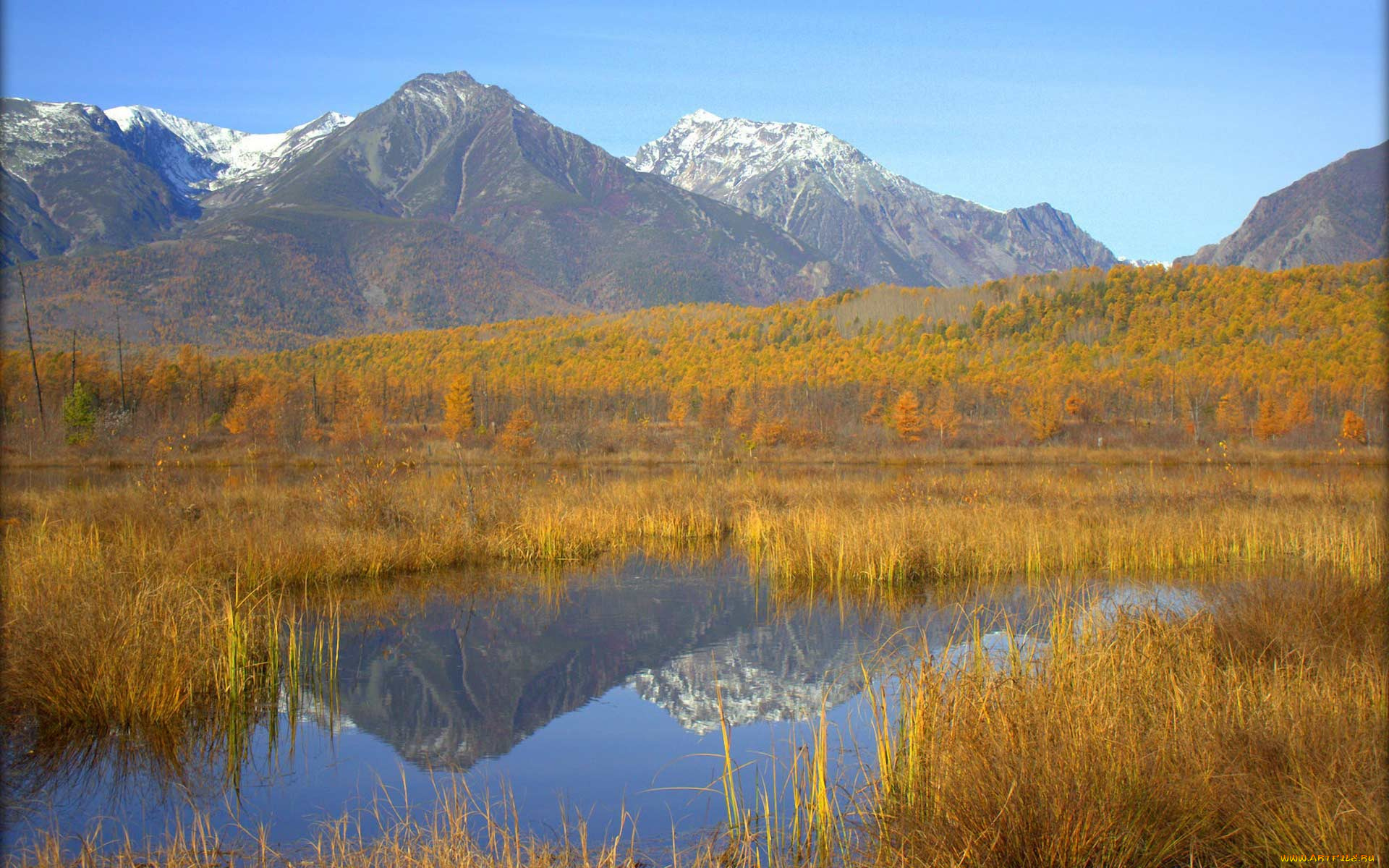 озеро горы осень трава без смс