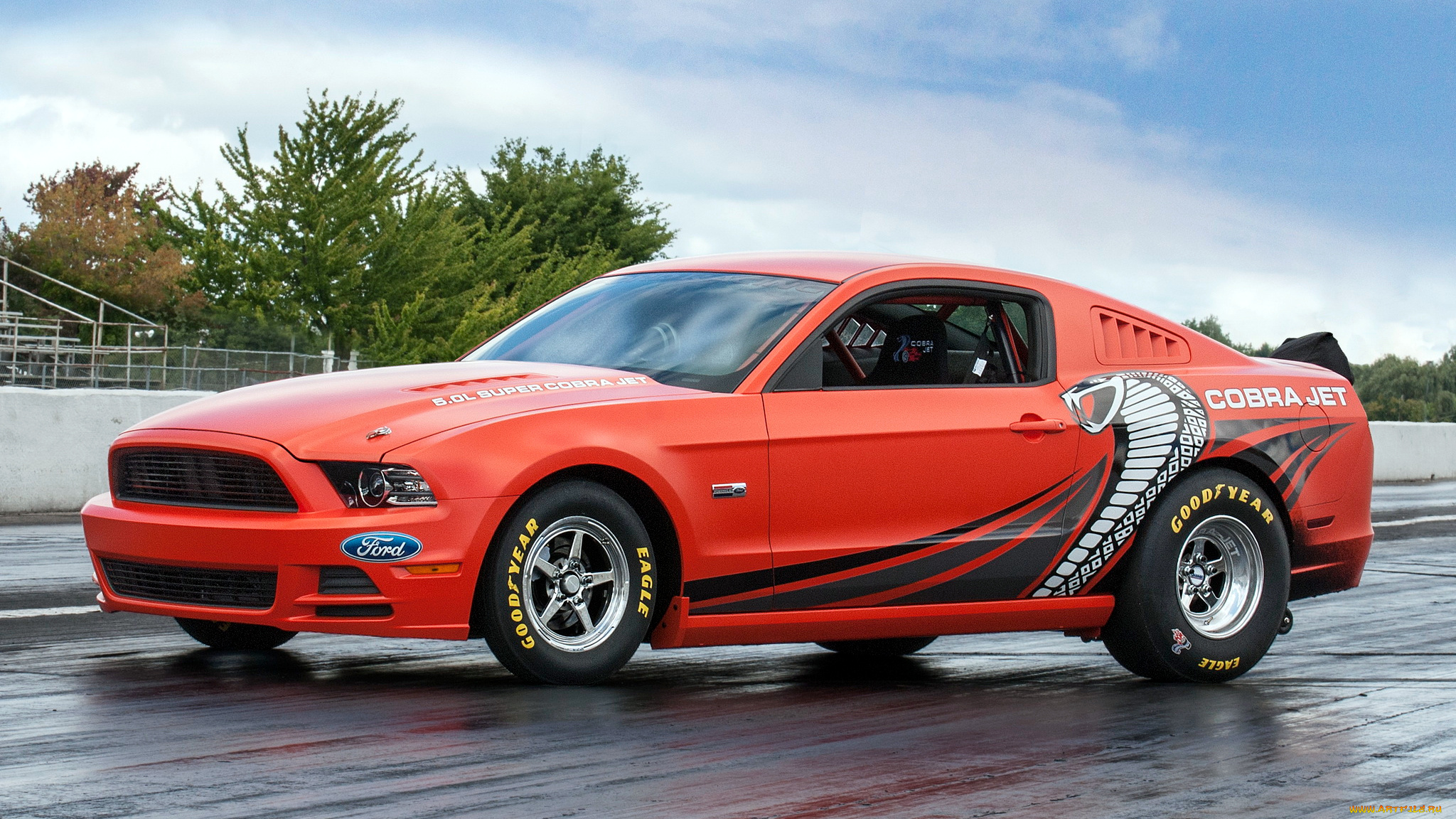 Ford Mustang Cobra 2020