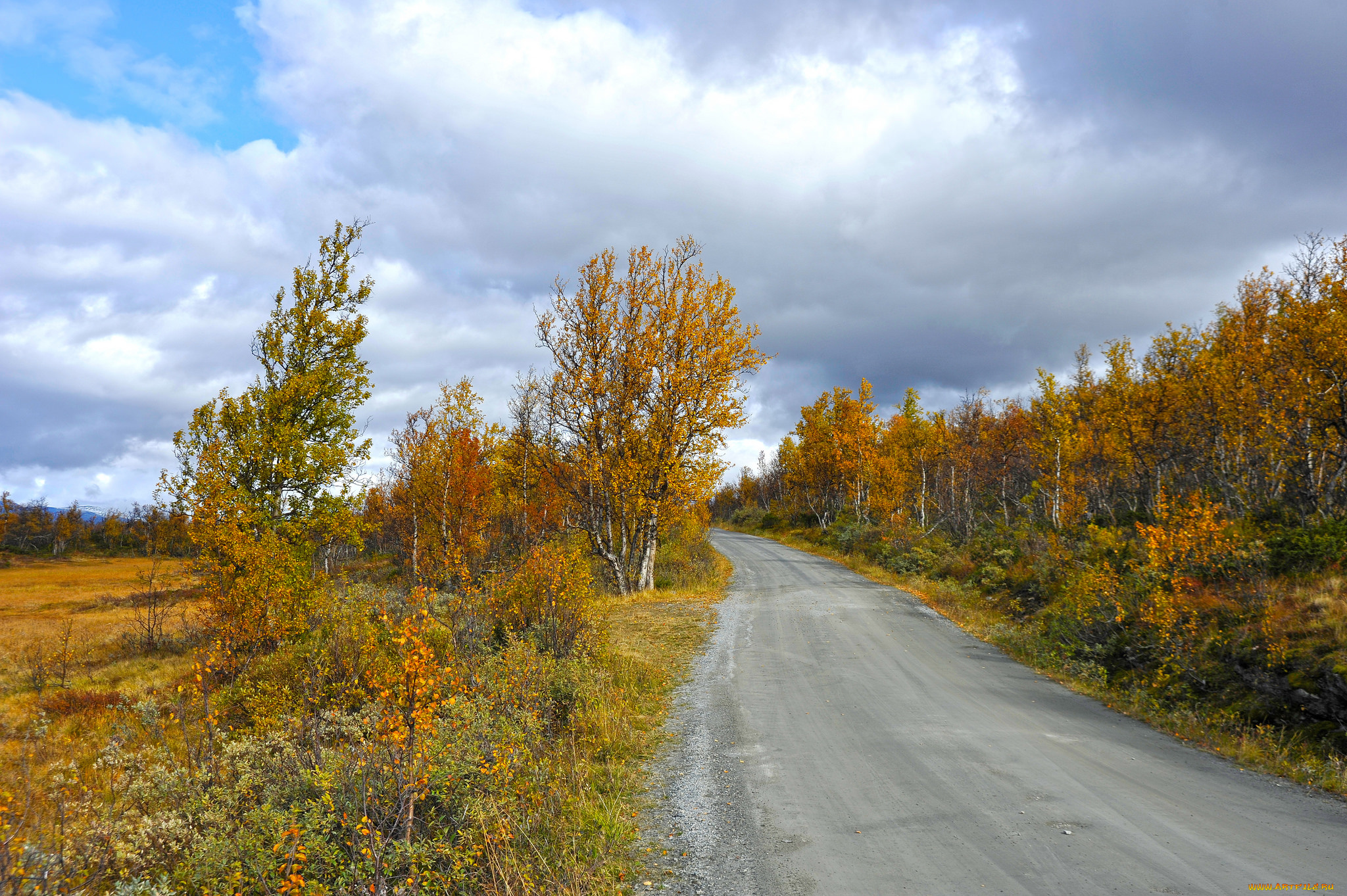 природа, дороги, тракт