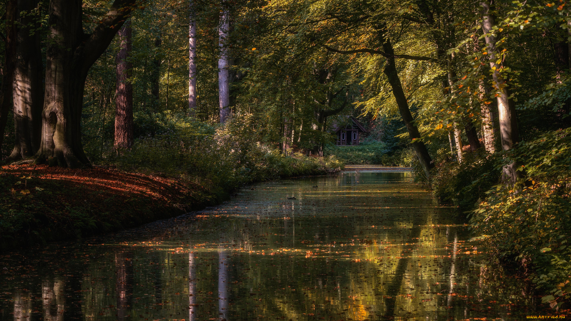 природа, реки, озера, нидерланды
