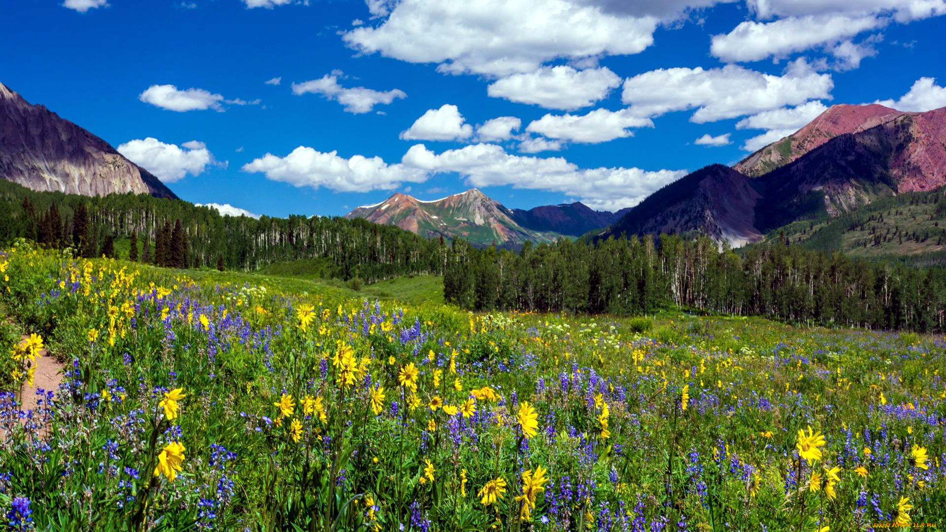 crested, butte, colorado, природа, луга, crested, butte